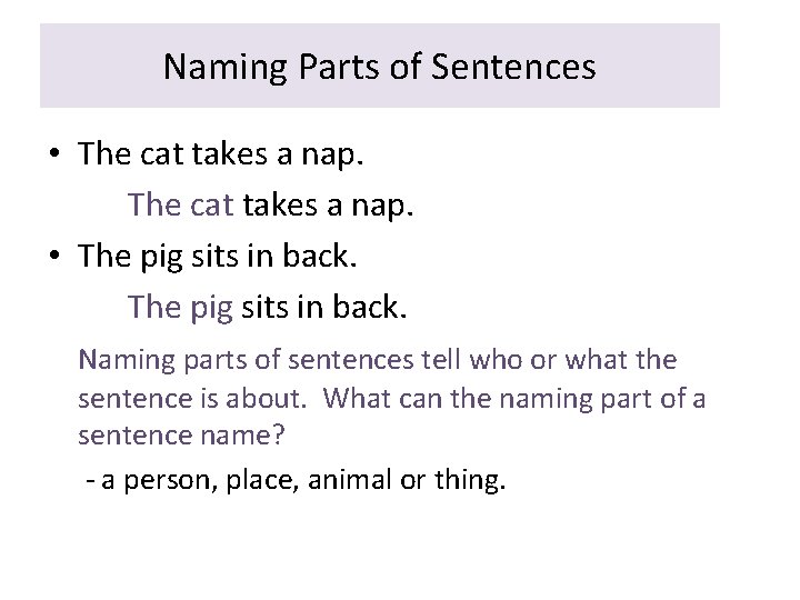 Naming Parts of Sentences • The cat takes a nap. • The pig sits