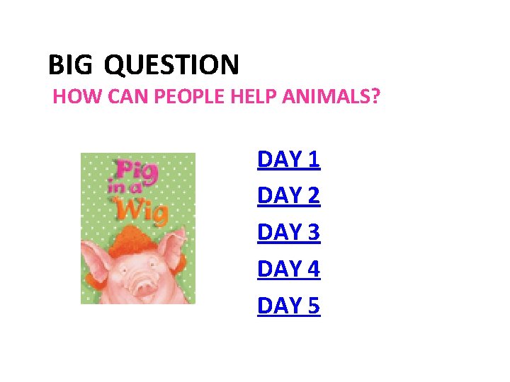 BIG QUESTION HOW CAN PEOPLE HELP ANIMALS? DAY 1 DAY 2 DAY 3 DAY