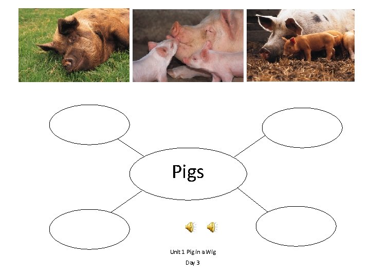 Pigs Unit 1 Pig in a Wig Day 3 