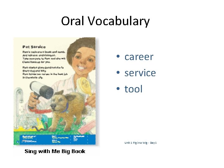 Oral Vocabulary • career • service • tool Unit 1 Pig in a Wig