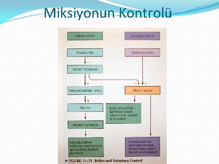 Miksiyonun Kontrolü 