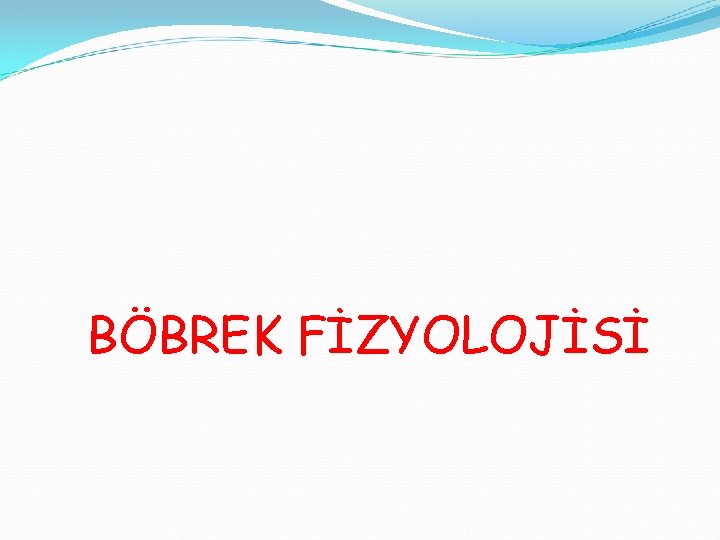 BÖBREK FİZYOLOJİSİ 