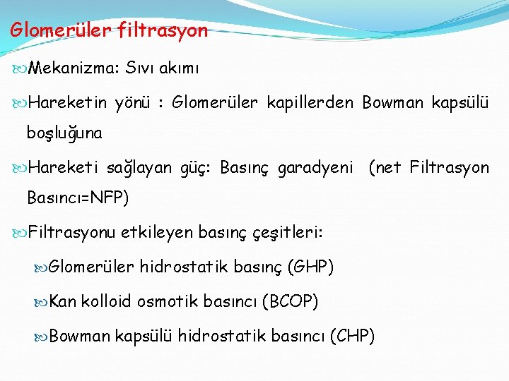 Glomerüler filtrasyon Mekanizma: Sıvı akımı Hareketin yönü : Glomerüler kapillerden Bowman kapsülü boşluğuna Hareketi