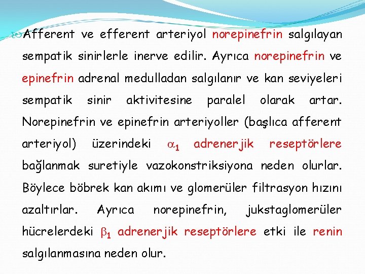  Afferent ve efferent arteriyol norepinefrin salgılayan sempatik sinirlerle inerve edilir. Ayrıca norepinefrin ve