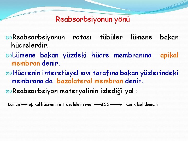 Reabsorbsiyonun yönü Reabsorbsiyonun rotası tübüler lümene bakan hücrelerdir. Lümene bakan yüzdeki hücre membranına apikal