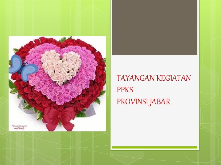 TAYANGAN KEGIATAN PPKS PROVINSI JABAR 