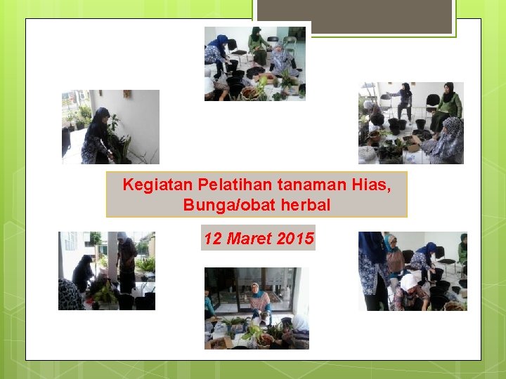 Kegiatan Pelatihan tanaman Hias, Bunga/obat herbal 12 Maret 2015 