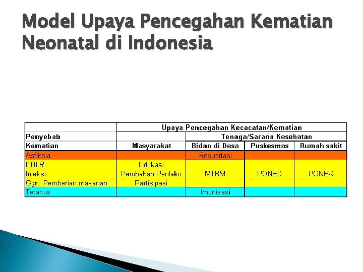 Model Upaya Pencegahan Kematian Neonatal di Indonesia 