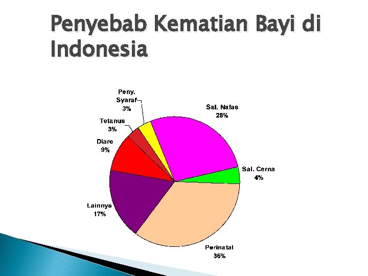 Penyebab Kematian Bayi di Indonesia 