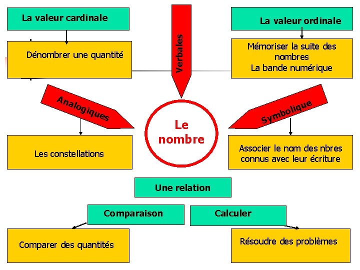 La valeur cardinale Verbales La valeur ordinale Dénombrer une quantité Mémoriser la suite des