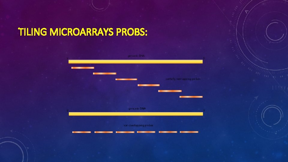 TILING MICROARRAYS PROBS: 