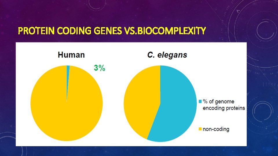 PROTEIN CODING GENES VS. BIOCOMPLEXITY 