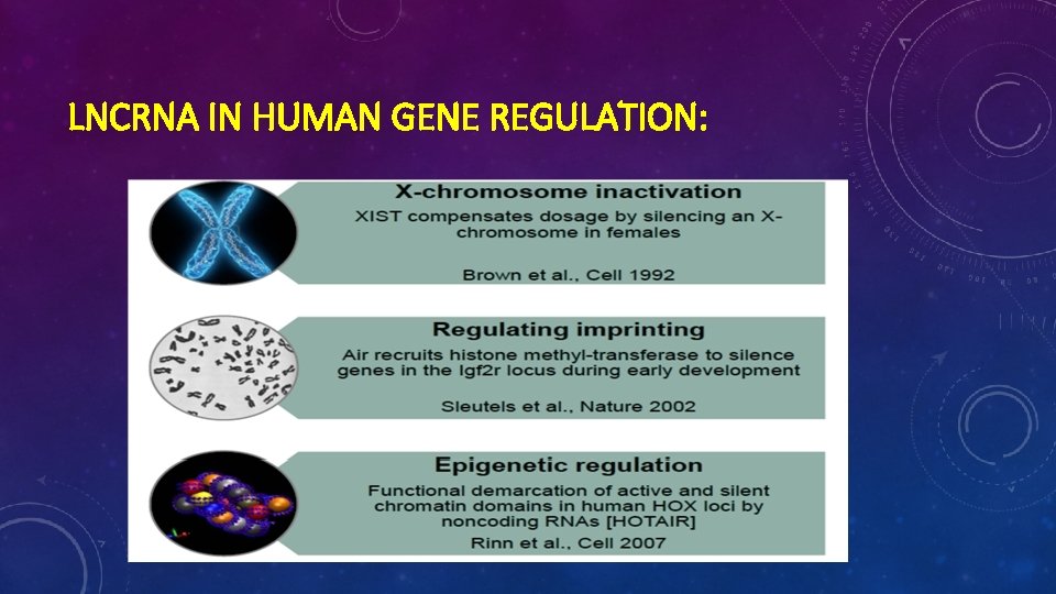 LNCRNA IN HUMAN GENE REGULATION: 