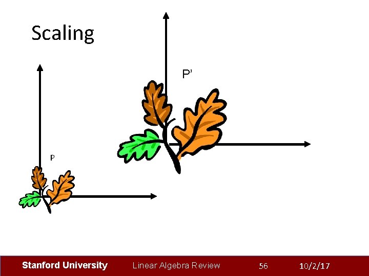 Scaling P’ P Stanford University Linear Algebra Review 56 10/2/17 