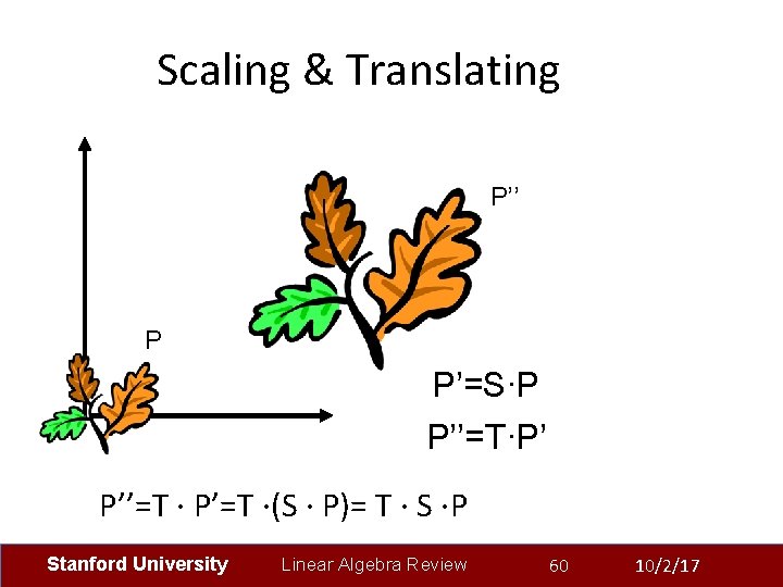 Scaling & Translating P’’ P P’=S∙P P’’=T∙P’ P’’=T ∙ P’=T ∙(S ∙ P)= T