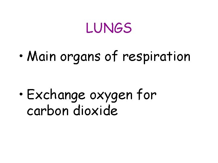 LUNGS • Main organs of respiration • Exchange oxygen for carbon dioxide 