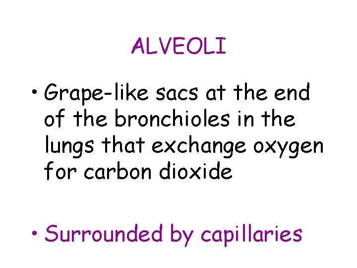 ALVEOLI • Grape-like sacs at the end of the bronchioles in the lungs that ALVEOLI • Grape-like sacs at the end of the bronchioles in the lungs that