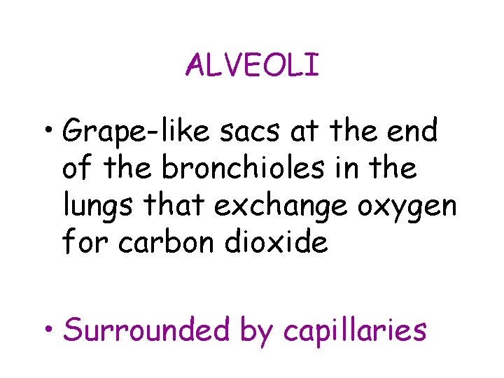 ALVEOLI • Grape-like sacs at the end of the bronchioles in the lungs that