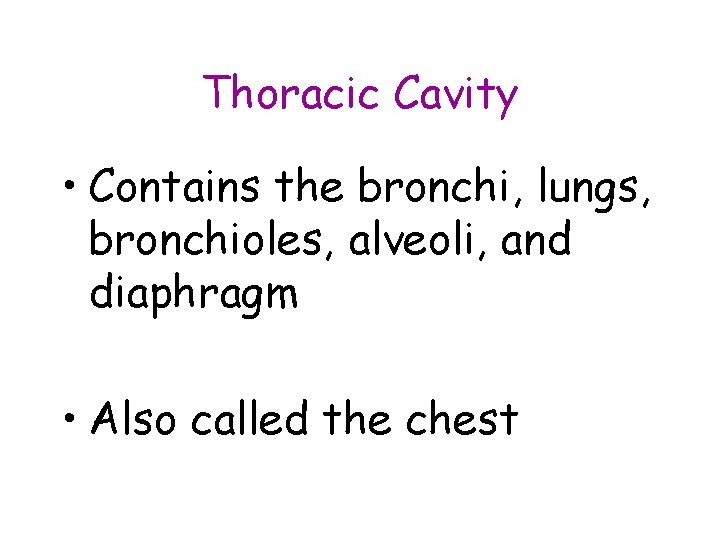 Thoracic Cavity • Contains the bronchi, lungs, bronchioles, alveoli, and diaphragm • Also called