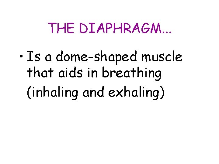 THE DIAPHRAGM. . . • Is a dome-shaped muscle that aids in breathing (inhaling THE DIAPHRAGM. . . • Is a dome-shaped muscle that aids in breathing (inhaling