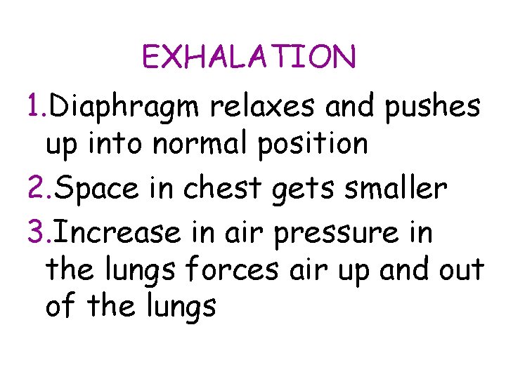 EXHALATION 1. Diaphragm relaxes and pushes up into normal position 2. Space in chest EXHALATION 1. Diaphragm relaxes and pushes up into normal position 2. Space in chest