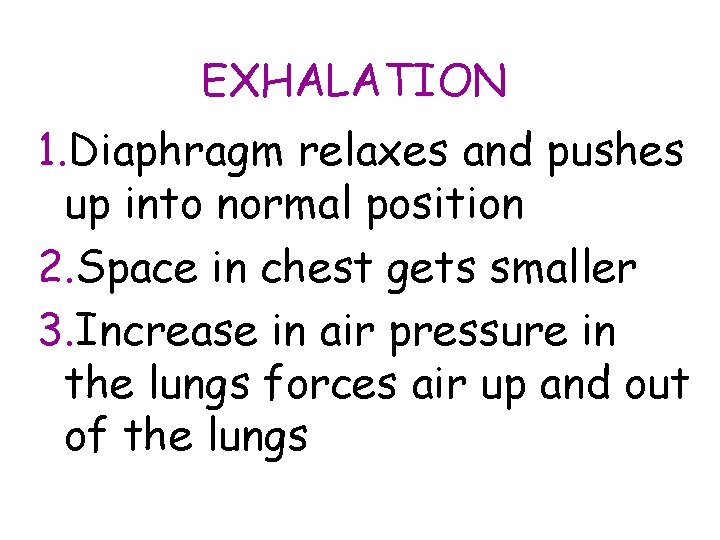 EXHALATION 1. Diaphragm relaxes and pushes up into normal position 2. Space in chest