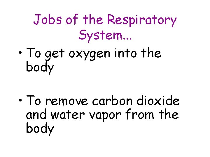 Jobs of the Respiratory System. . . • To get oxygen into the body