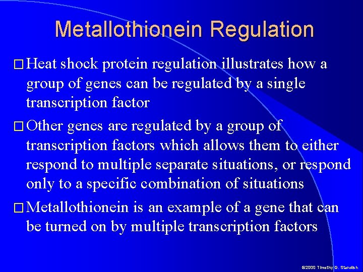 Metallothionein Regulation � Heat shock protein regulation illustrates how a group of genes can