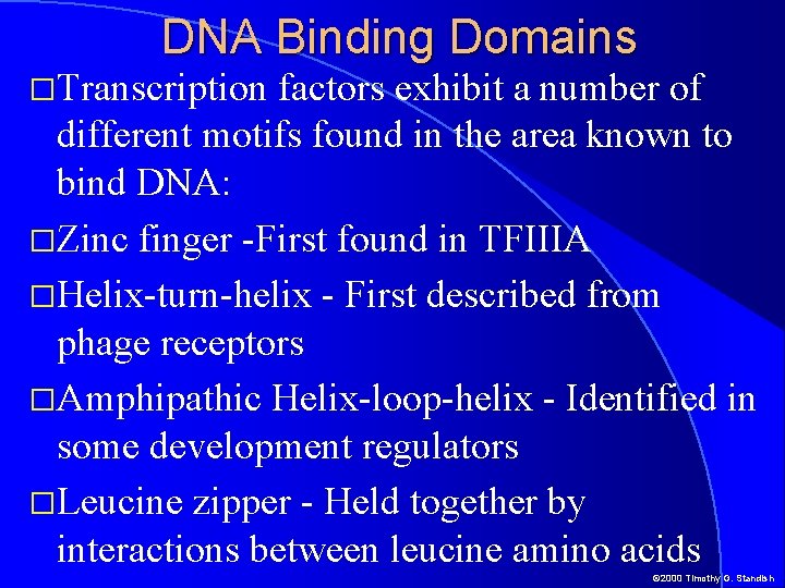 DNA Binding Domains �Transcription factors exhibit a number of different motifs found in the