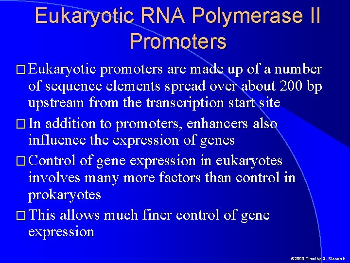 Eukaryotic RNA Polymerase II Promoters � Eukaryotic promoters are made up of a number