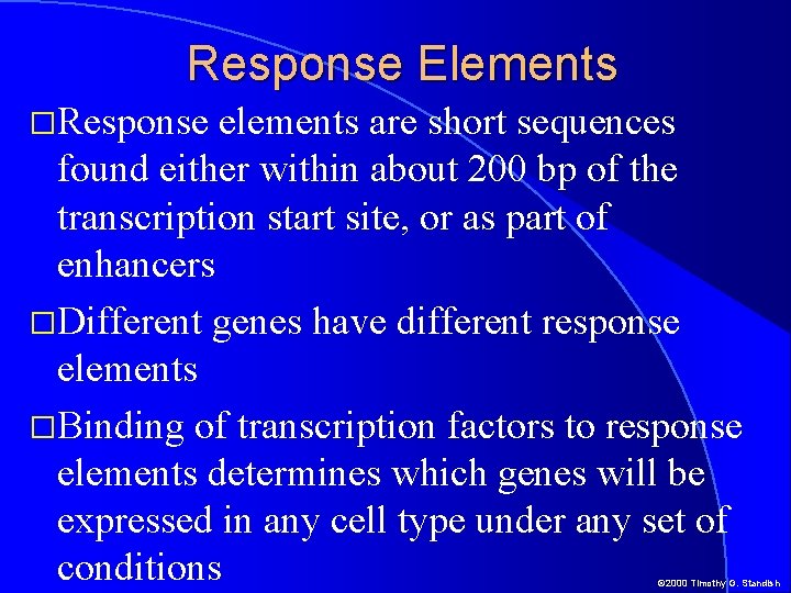 Response Elements �Response elements are short sequences found either within about 200 bp of