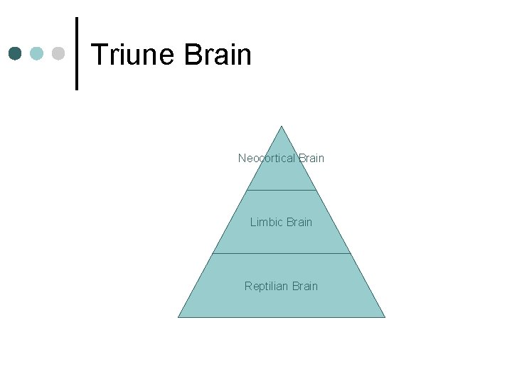 Triune Brain Neocortical Brain Limbic Brain Reptilian Brain 