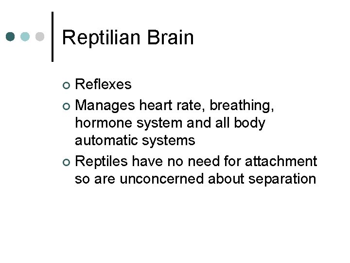 Reptilian Brain Reflexes ¢ Manages heart rate, breathing, hormone system and all body automatic