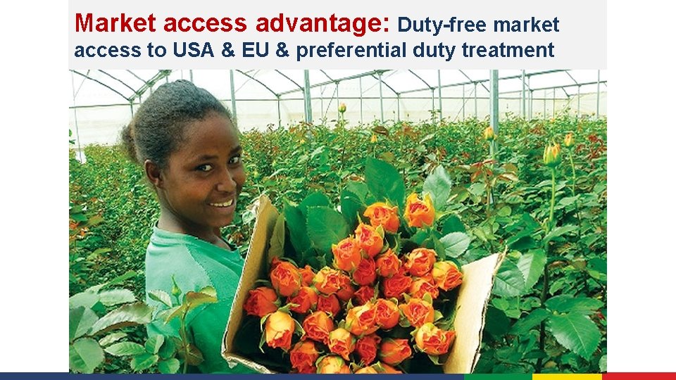 Market access advantage: Duty-free market access to USA & EU & preferential duty treatment
