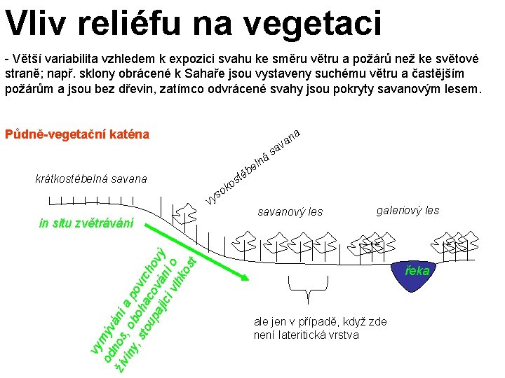 Vliv reliéfu na vegetaci - Větší variabilita vzhledem k expozici svahu ke směru větru