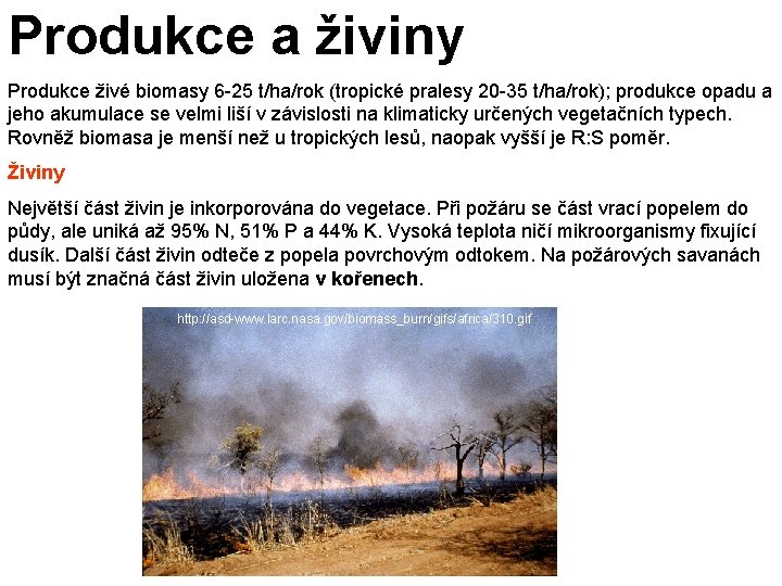 Produkce a živiny Produkce živé biomasy 6 -25 t/ha/rok (tropické pralesy 20 -35 t/ha/rok);