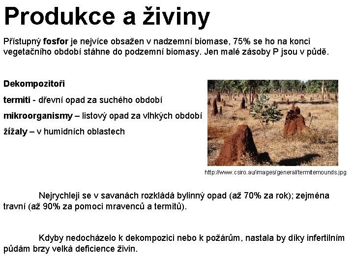 Produkce a živiny Přístupný fosfor je nejvíce obsažen v nadzemní biomase, 75% se ho