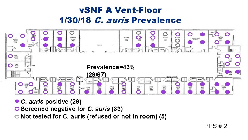 v. SNF A Vent-Floor 1/30/18 C. auris Prevalence=43% (29/67) C. auris positive (29) Screened