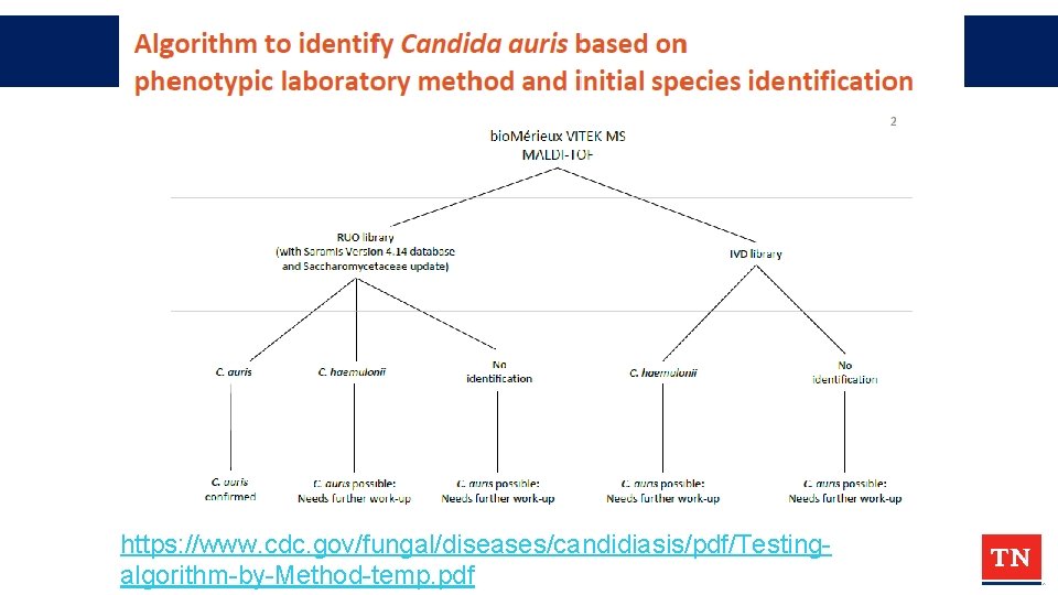 https: //www. cdc. gov/fungal/diseases/candidiasis/pdf/Testingalgorithm-by-Method-temp. pdf 