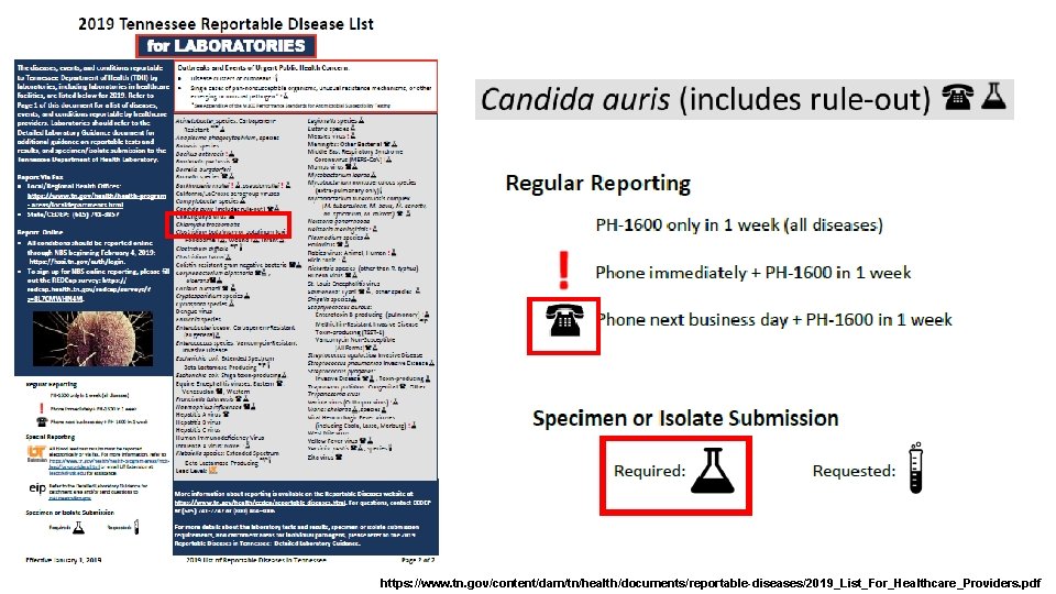https: //www. tn. gov/content/dam/tn/health/documents/reportable-diseases/2019_List_For_Healthcare_Providers. pdf 