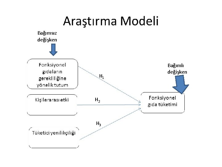 Bağımsız değişken H 1 H 2 H 3 Bağımlı değişken 