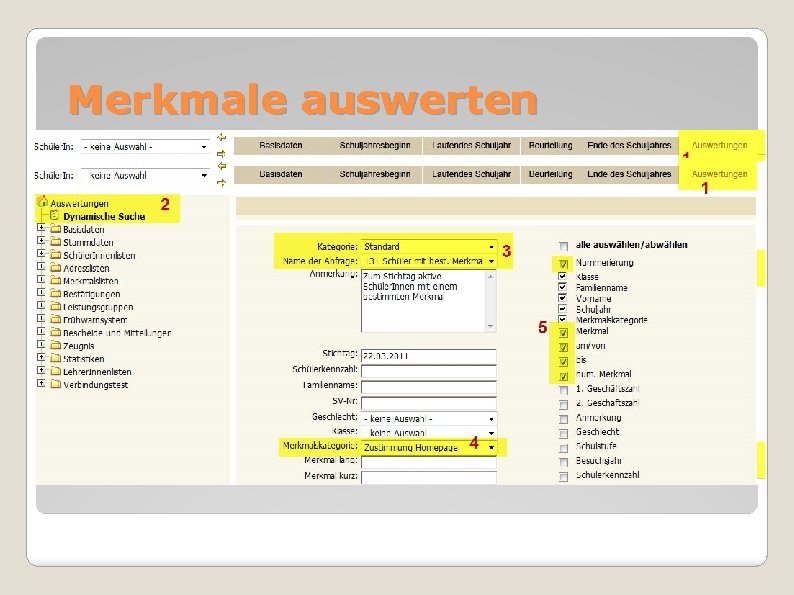 Merkmale auswerten Auswertung Dynamische Suche 