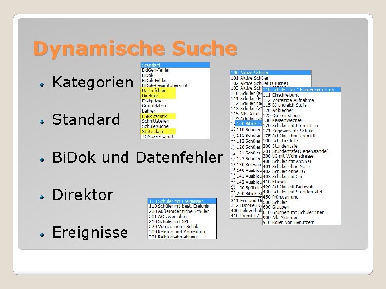 Dynamische Suche Kategorien Standard Bi. Dok und Datenfehler Direktor Ereignisse 