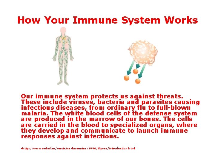 How Your Immune System Works Our immune system protects us against threats. These include How Your Immune System Works Our immune system protects us against threats. These include