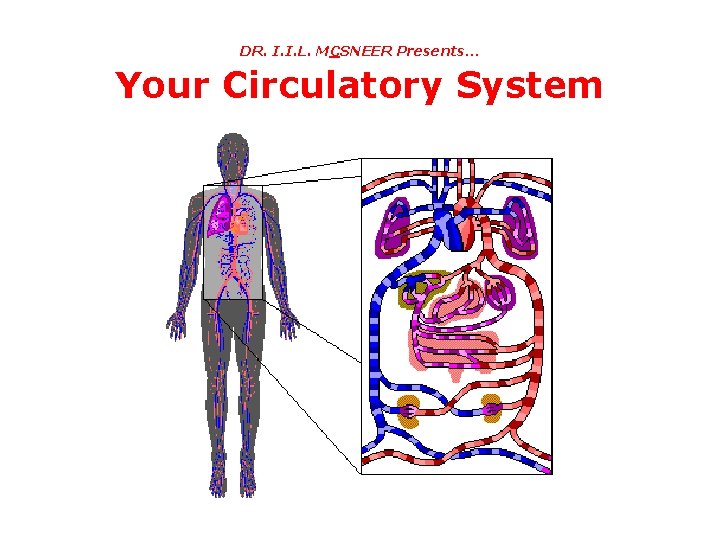 DR. I. I. L. MCSNEER Presents… Your Circulatory System DR. I. I. L. MCSNEER Presents… Your Circulatory System