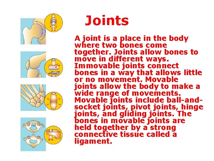 Joints A joint is a place in the body where two bones come together.