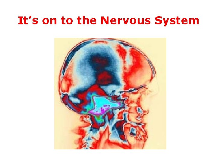 It’s on to the Nervous System It’s on to the Nervous System