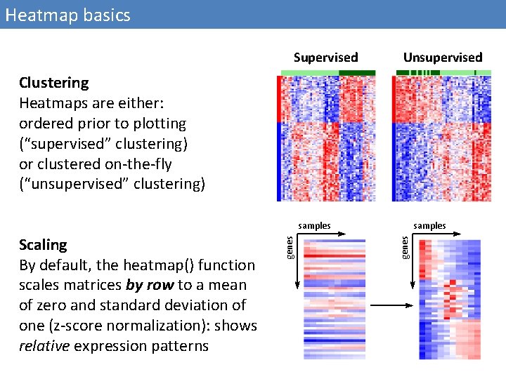 Heatmap basics Supervised Unsupervised Clustering Heatmaps are either: ordered prior to plotting (“supervised” clustering)