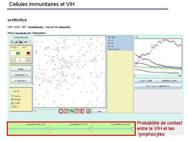 Cellules immunitaires et VIH Probabilité de contact entre le VIH et les lymphocytes 