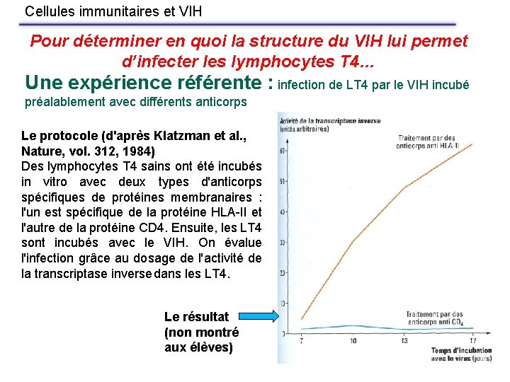 Cellules immunitaires et VIH Pour déterminer en quoi la structure du VIH lui permet